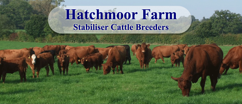 Hatchmoor Farm